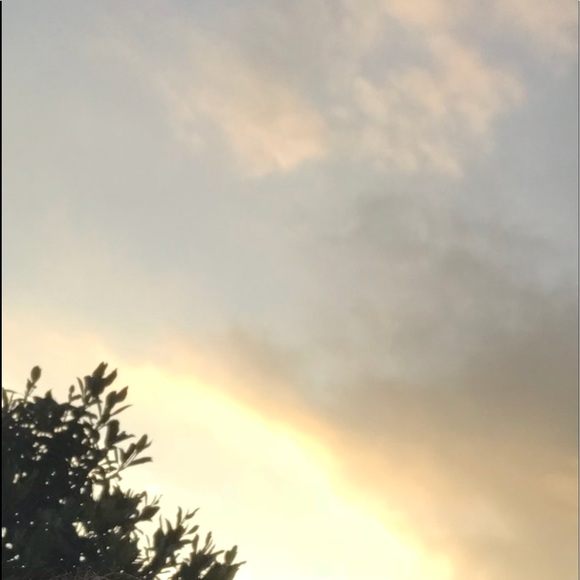 Meet your Posher, Aidan - Picture 1 of 1